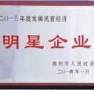 2013年度發(fā)展民營經(jīng)濟(jì)明星企業(yè)